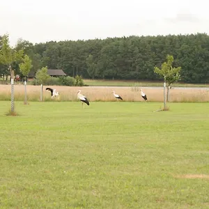 Haeusla Vakantiehuis